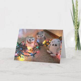 Cartes Pour Fêtes Annuelles Jolies lumières