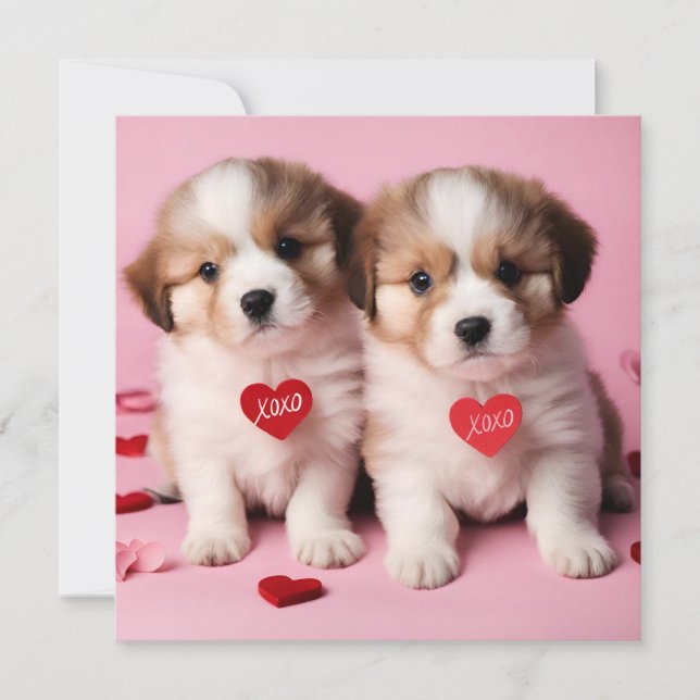 Cartes Pour Fêtes Annuelles Jolis chiots pour la Saint-Valentin  (Devant)