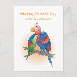 Cartes Pour Fêtes Annuelles Jolis perroquets Fête des mères