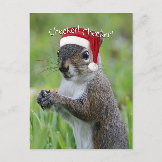Cartes Pour Fêtes Annuelles Jolly Florida Père Noël SquirrelMC portant le chap (Devant)