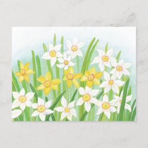 Cartes Pour Fêtes Annuelles Jonquilles printanières 