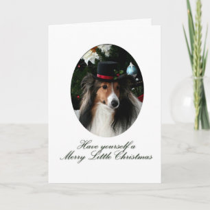 Cartes Pour Fêtes Annuelles Jory Little Sheltie