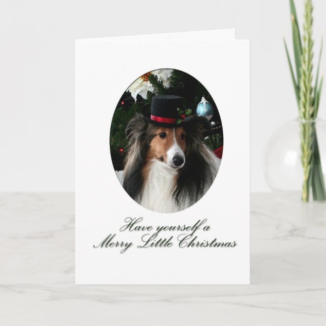 Cartes Pour Fêtes Annuelles Jory Little Sheltie (Devant)