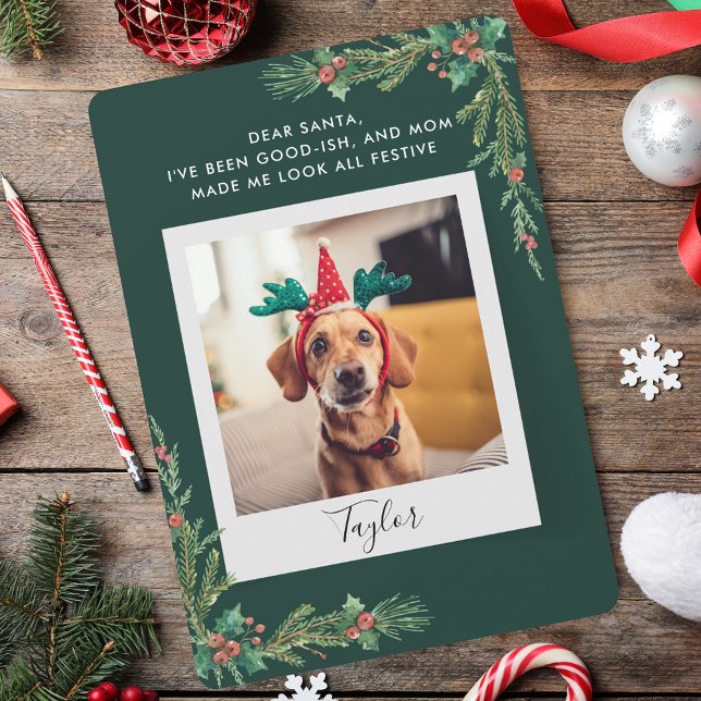 Cartes Pour Fêtes Annuelles Jote Animal Photo Script Drôle Chien Noël (Cute Pet Photo Script Funny Dog Christmas Holiday Card)