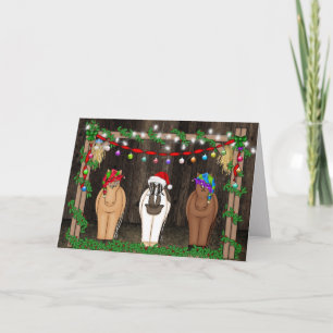 Cartes Pour Fêtes Annuelles Jote Funny Farm Horse Noël