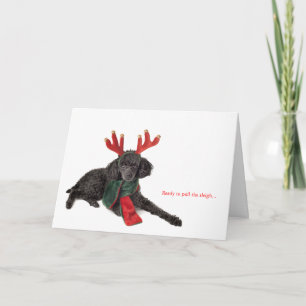 Cartes Pour Fêtes Annuelles Jouet noir avec bois de rennes