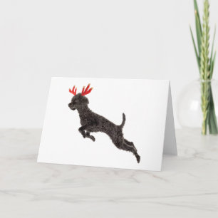 Cartes Pour Fêtes Annuelles Jouet noir de Noël caniche Reindeer Antlers