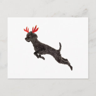 Cartes Pour Fêtes Annuelles Jouet noir de Noël caniche Reindeer Antlers