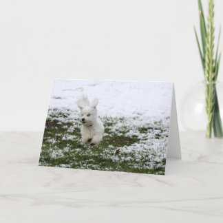 Cartes Pour Fêtes Annuelles Jour de neige de chiot