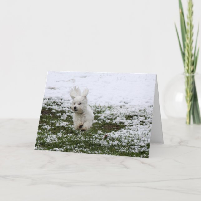 Cartes Pour Fêtes Annuelles Jour de neige de chiot (Devant)