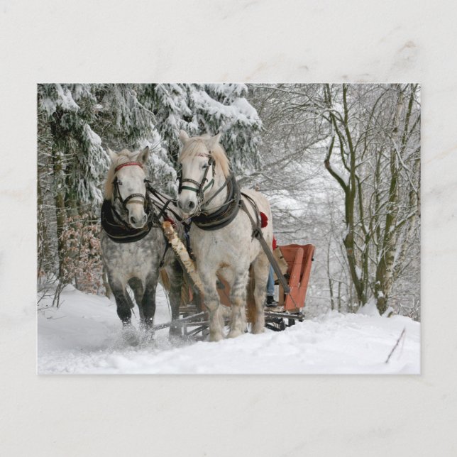 Cartes Pour Fêtes Annuelles Jour de Noël des Chevaux (Devant)