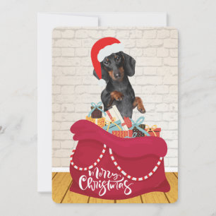 Cartes Pour Fêtes Annuelles Jour de Noël du chien de Wiener Santa Hat Bag