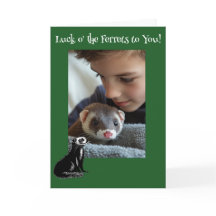 Jour des Ferrets Ferret St. Patrick