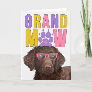 Cartes Pour Fêtes Annuelles Jour des grands-parents amusants pour le chien de 