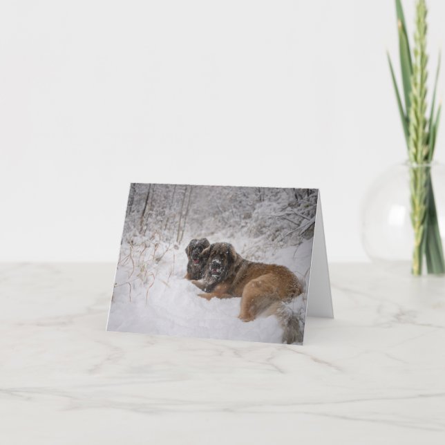 Cartes Pour Fêtes Annuelles Jour férié (Devant)