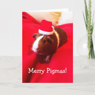 Cartes Pour Fêtes Annuelles Jours de Noël à Père Noël Guinea Pig