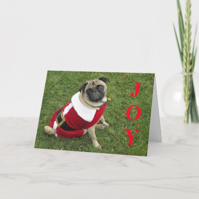 CARTES POUR FÊTES ANNUELLES JOY ! (Devant)