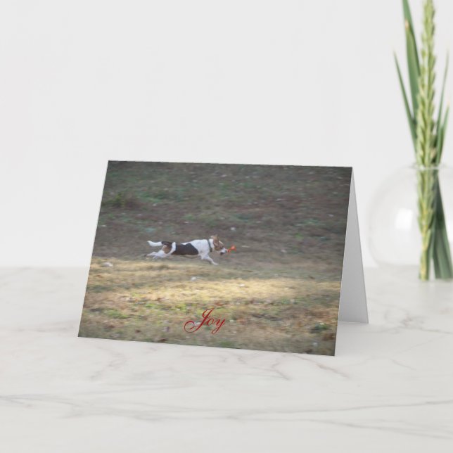 Cartes Pour Fêtes Annuelles Joy - 2012 (Devant)