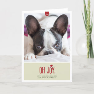 Cartes Pour Fêtes Annuelles Joy   Folded Holiday Photo