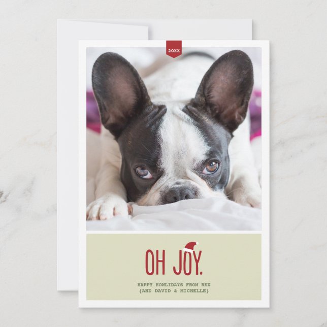 Cartes Pour Fêtes Annuelles Joy | Funny Holiday Photo (Devant)