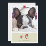 Cartes Pour Fêtes Annuelles Joy | Funny Holiday Photo<br><div class="desc">A snarky holiday photo featuring the sarcastic phrase "Oh joy." Donc le design includes a cute santa a sitting on the red lettering.</div>