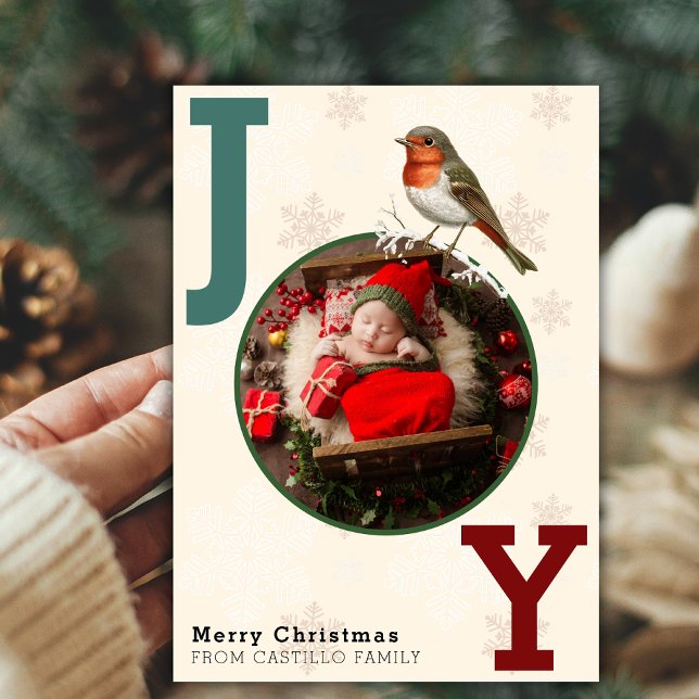 Cartes Pour Fêtes Annuelles JOY Joyeux Noël Photo Winter Bird (Créateur téléchargé)