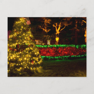 Cartes Pour Fêtes Annuelles Joy To The World - Shore Acres State Park, OU