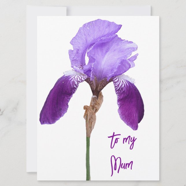 Cartes Pour Fêtes Annuelles Joyeuse fête des mères iris mauve fleurie (Devant)