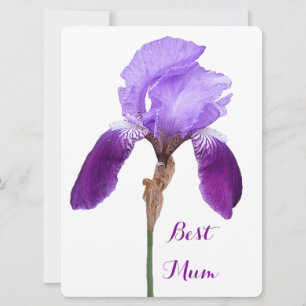 Cartes Pour Fêtes Annuelles Joyeuse fête des mères jolie iris violet floral 4 