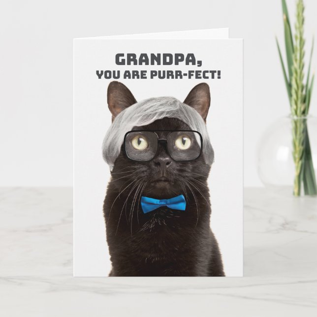 Cartes Pour Fêtes Annuelles Joyeuse fête des pères grand-père humour de chat h (Devant)