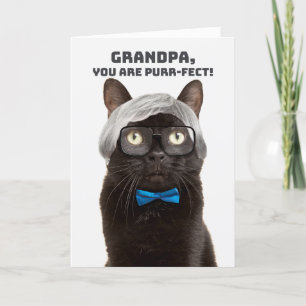 Cartes Pour Fêtes Annuelles Joyeuse fête des pères Papy Humour de chat vieil h