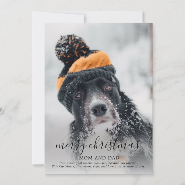 Cartes Pour Fêtes Annuelles Joyeuse photo de chien de Noël (Devant)