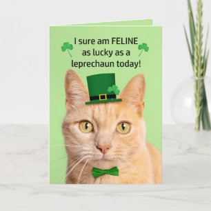 Cartes Pour Fêtes Annuelles Joyeuse Saint-Patrick Ami Chat Mignon Lutins