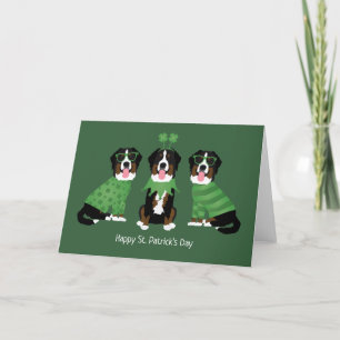 Cartes Pour Fêtes Annuelles Joyeuse Saint-Patrick Chiens de Montagne Bernois