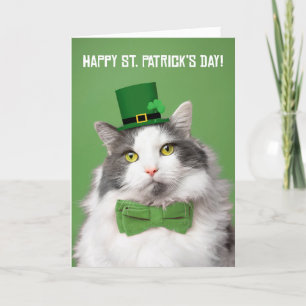 Cartes Pour Fêtes Annuelles Joyeuse Saint-Patrick Mignonne Kitty en Vert
