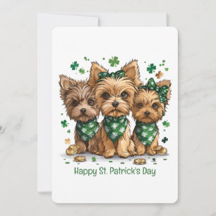 Cartes Pour Fêtes Annuelles Joyeuse Saint-Patrick Yorkshire Terrier Chiens