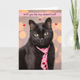 Cartes Pour Fêtes Annuelles Joyeuse Saint-Valentin à tous les chats mignons en