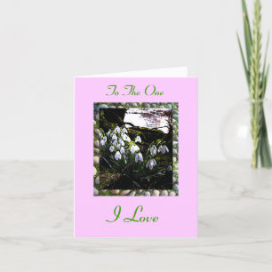 Cartes Pour Fêtes Annuelles Joyeuse Saint Valentin avec les Snowdrops