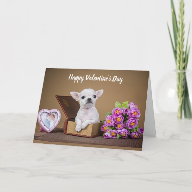 Cartes Pour Fêtes Annuelles Joyeuse Saint-Valentin Chihuahua chiot (Devant)