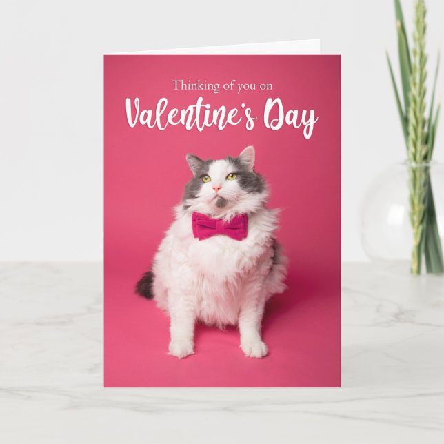 Cartes Pour Fêtes Annuelles Joyeuse Saint-Valentin En vous pensant Joli Chat (Devant)