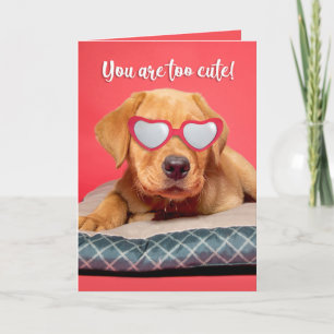 Cartes Pour Fêtes Annuelles Joyeuse Saint-Valentin Humour de chiot Labrador mi