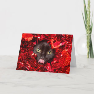Cartes Pour Fêtes Annuelles Joyeuse Saint-Valentin Mignon Chat Avec Langue Deh