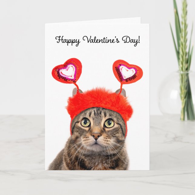 Cartes Pour Fêtes Annuelles Joyeuse Saint-Valentin pour tous les chats tabby  (Devant)
