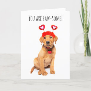 Cartes Pour Fêtes Annuelles Joyeuse Saint-Valentin pour tout joli chiot