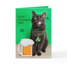 Joyeuse St Patrick Funnée Chat Avec Bière