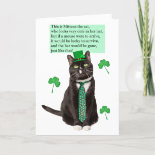 Cartes Pour Fêtes Annuelles Joyeuse St Patrick Funny Cat Limerick