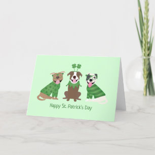 Cartes Pour Fêtes Annuelles Joyeuse St Patrick Pit Bull Dogs