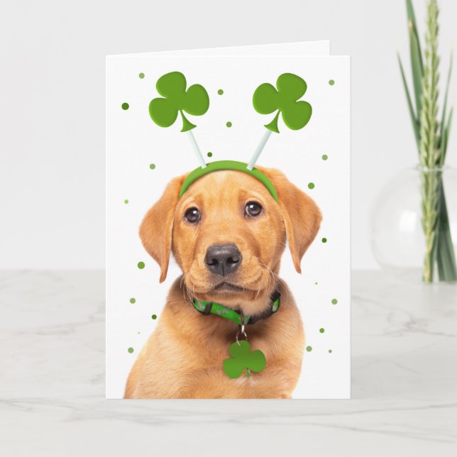 Cartes Pour Fêtes Annuelles Joyeuse St Patricks Day à tous Chien en bandeau (Devant)
