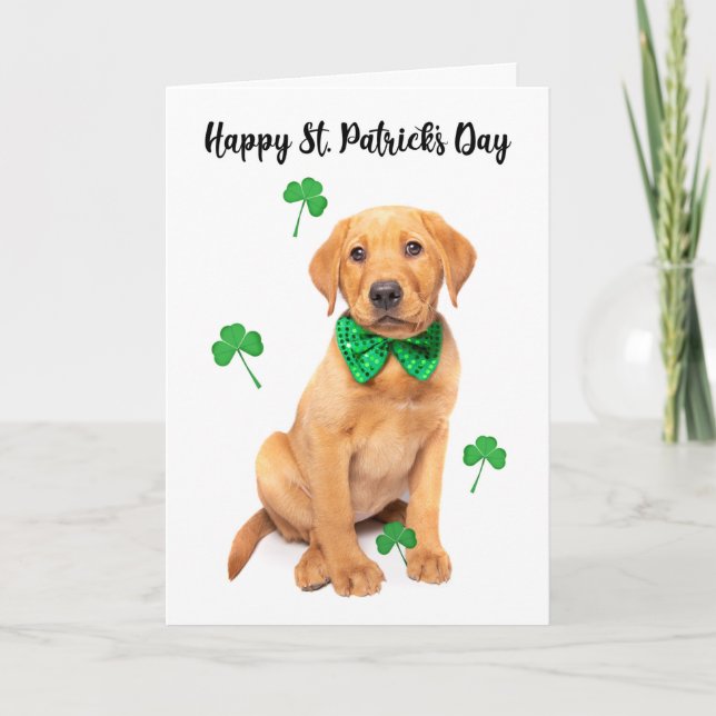 Cartes Pour Fêtes Annuelles Joyeuse St Patrick's Day pour tout le monde mignon (Devant)