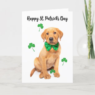 Cartes Pour Fêtes Annuelles Joyeuse St Patrick's Day pour tout le monde mignon